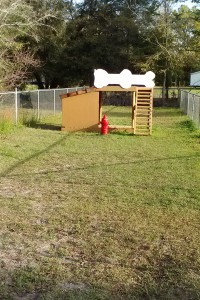 Dog run at Perry KIA