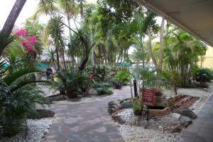 The pool area at the Ramada Inn, Saturday morning