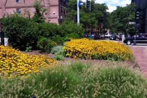 Entering the North End