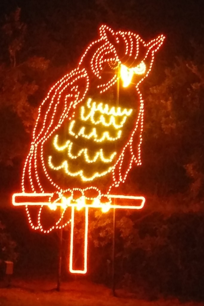 Owl at the campground entrance