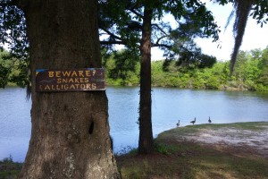 Scenic but risky lake