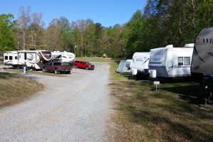 Jellystone derelicts and us