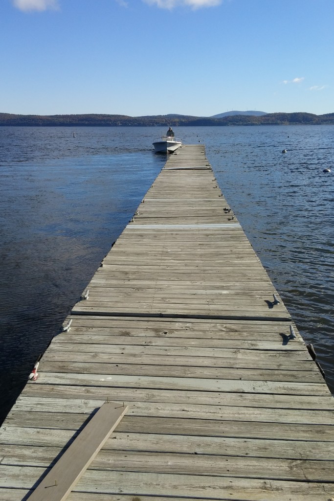 Most of the center dock, removed