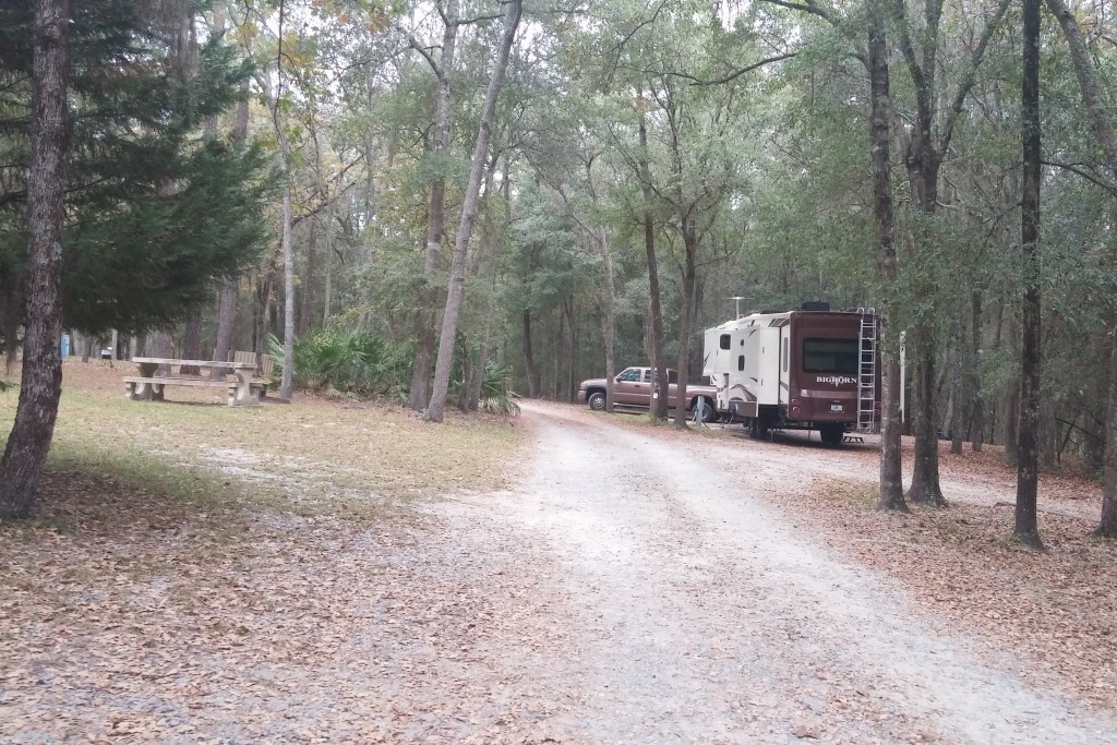 Campsite at General Coffee