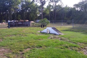 Dog park