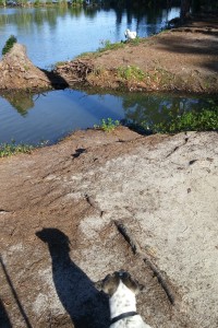 Rusty keeping his distance