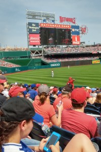Outfield and scoreboard