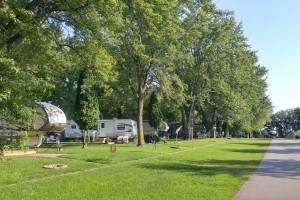 Wooded seasonal sites