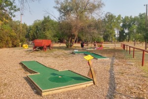 Mini-golf