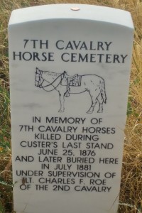 Horse grave