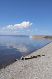 The northern shore of Yellowstone Lake