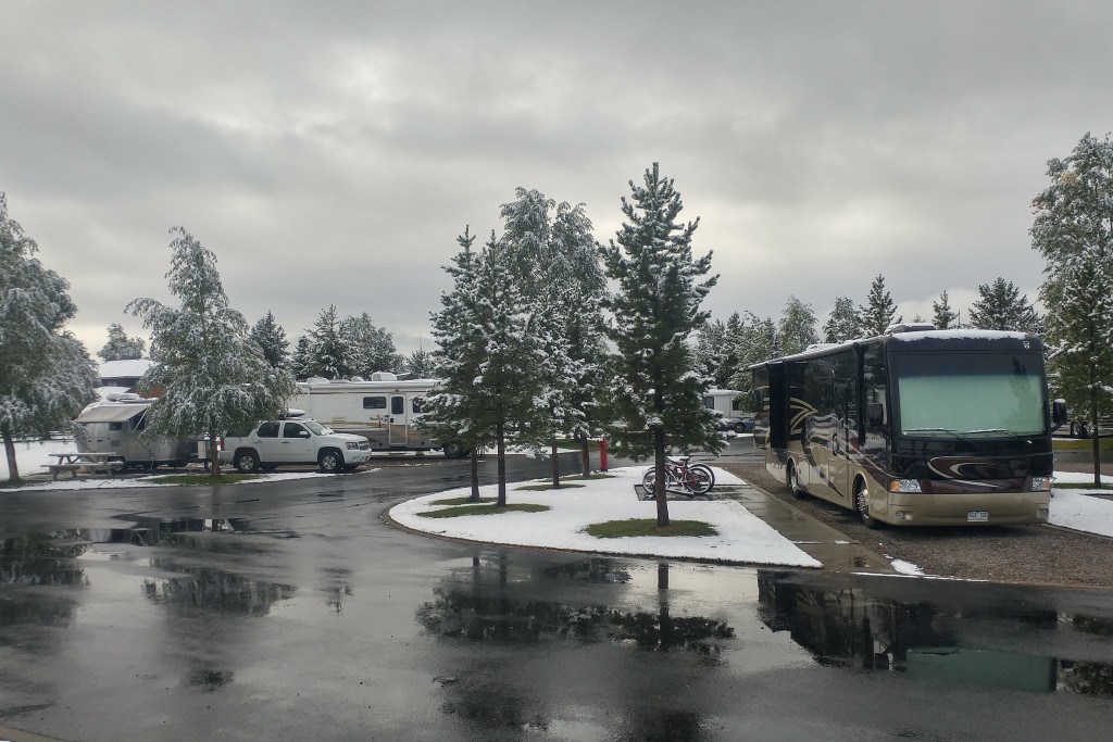 Snow at Yellowstone Grizzly