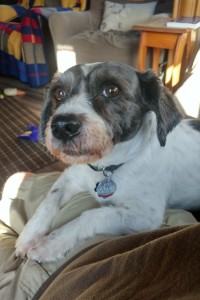 Rusty looking damn cute