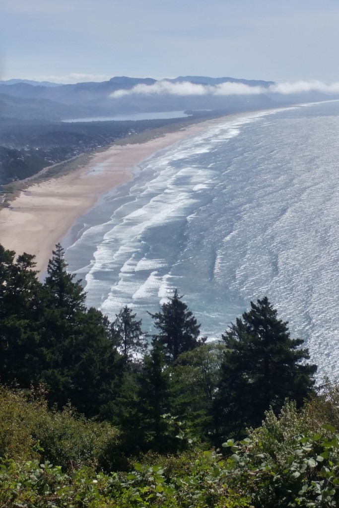 PCH overlooking Nehalem