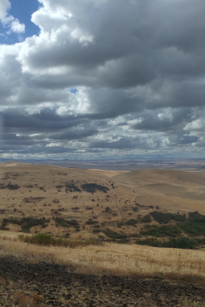 View from Deadman's Pass 
