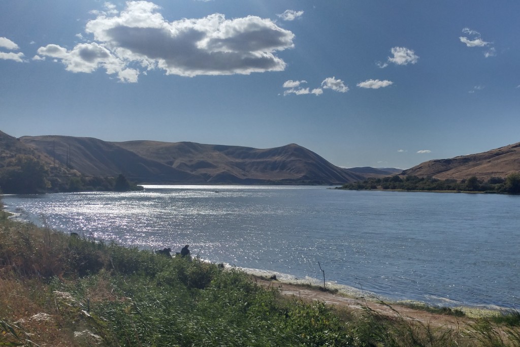 The bend on a sunny day