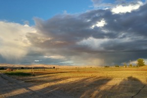 Sunshine and showers