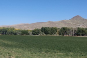 View north from RV Camp