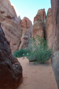 Chasm to Sand Dune Arch