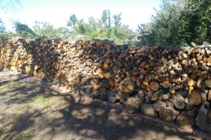 Firewood