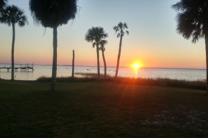 The view from my sofa