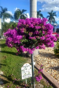 Marking our territory